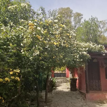 Eco Moyano Posada 高辛 外观 照片