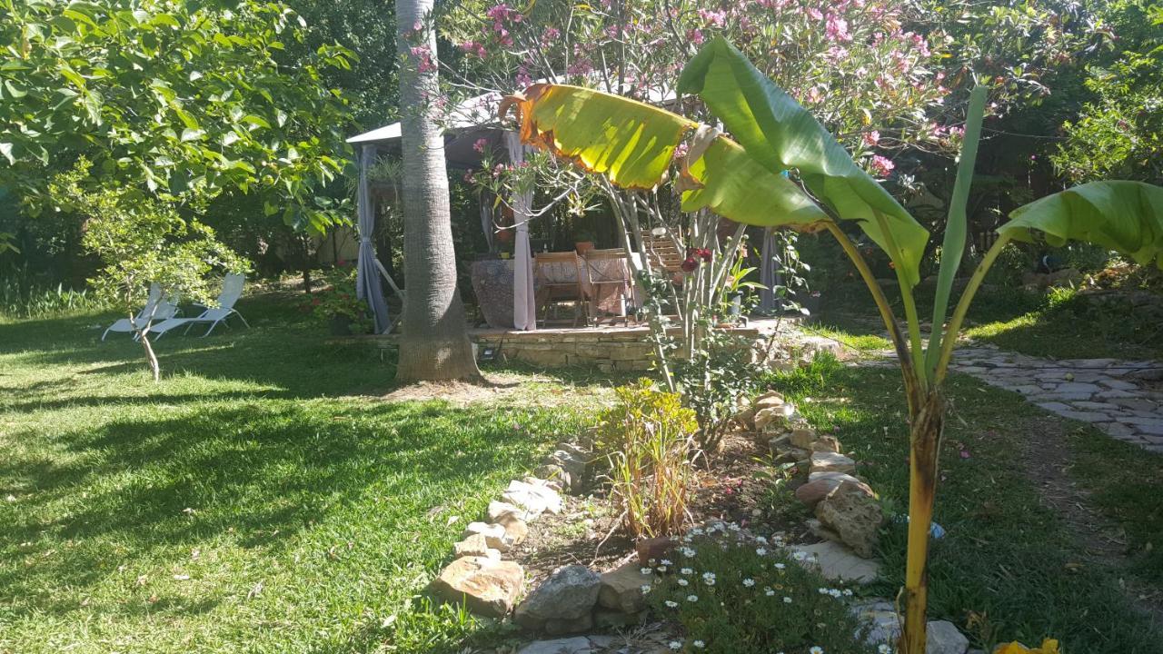 Eco Moyano Posada 高辛 外观 照片