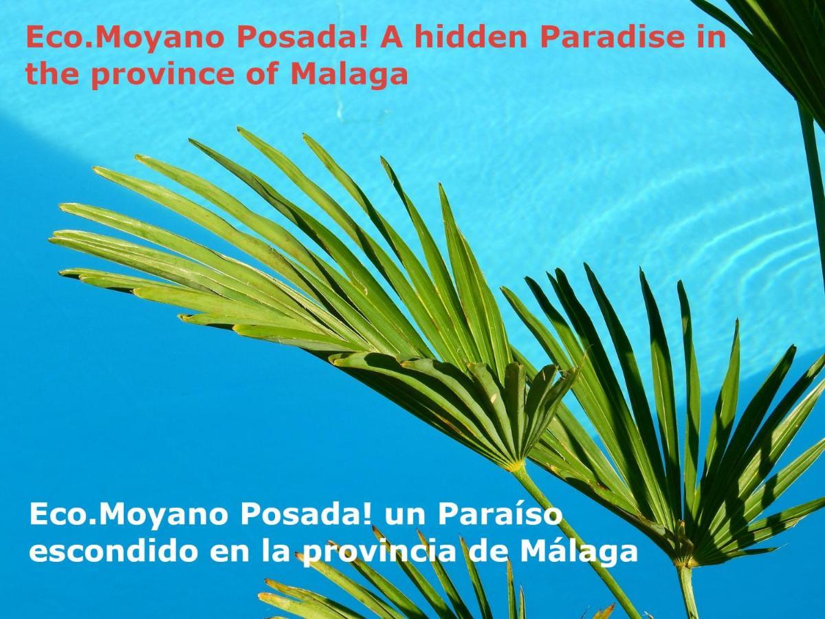 Eco Moyano Posada 高辛 外观 照片