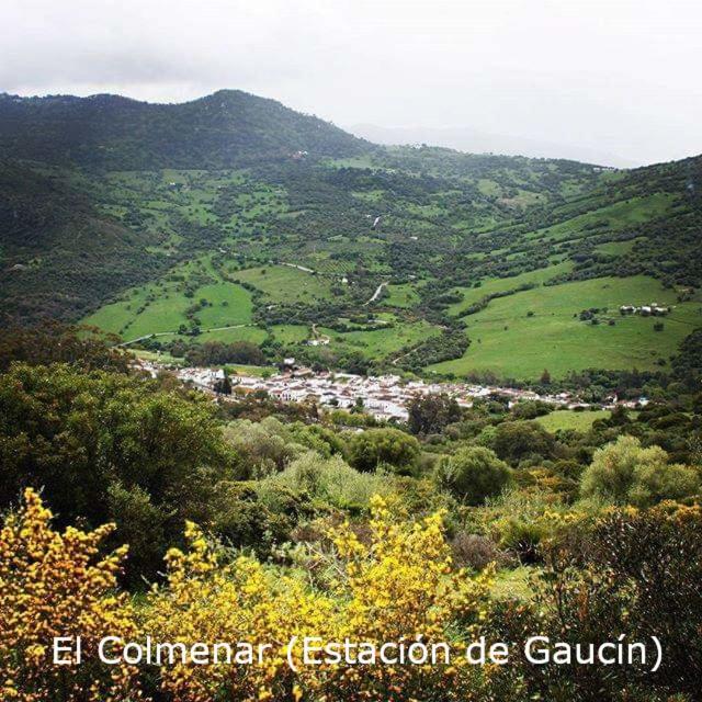 Eco Moyano Posada 高辛 外观 照片