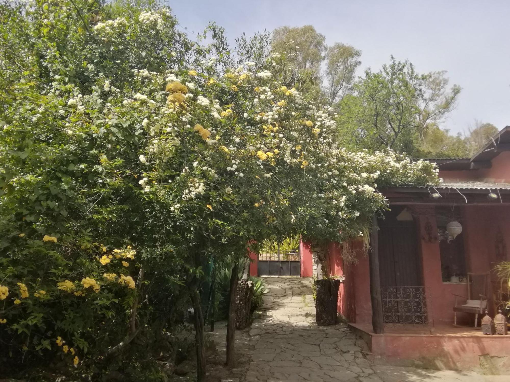 Eco Moyano Posada 高辛 外观 照片