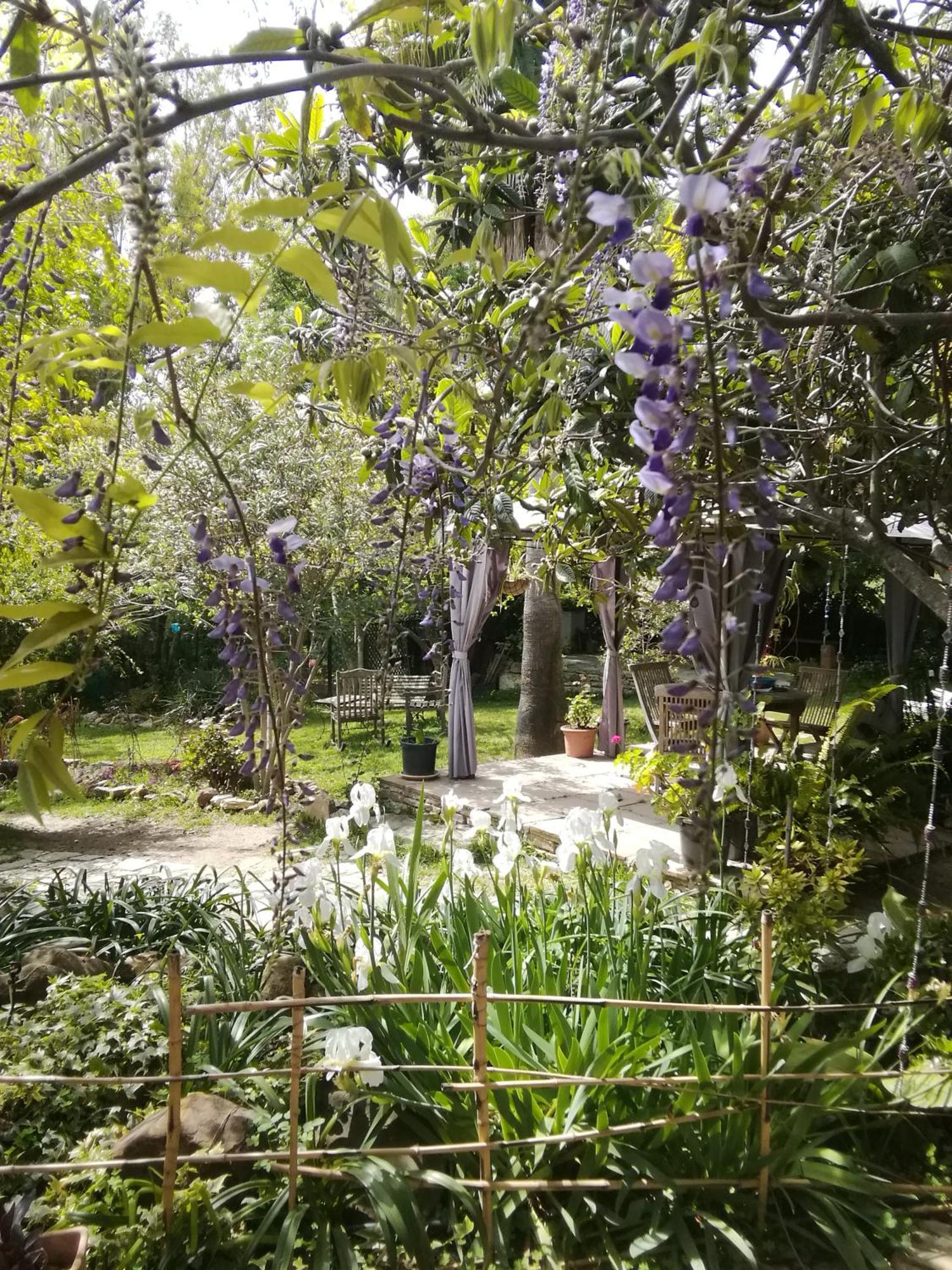 Eco Moyano Posada 高辛 外观 照片