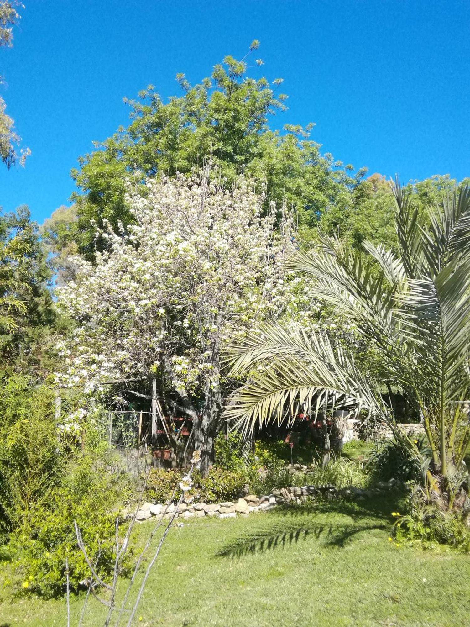 Eco Moyano Posada 高辛 外观 照片